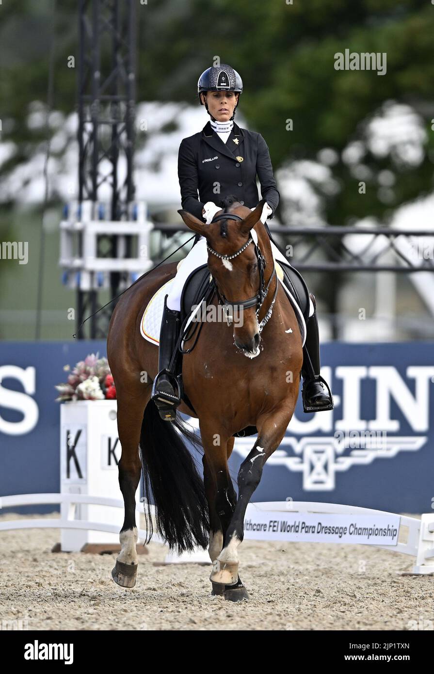Herning, Denmark. 14th Aug, 2022. World Equestrian Games. Michèle
