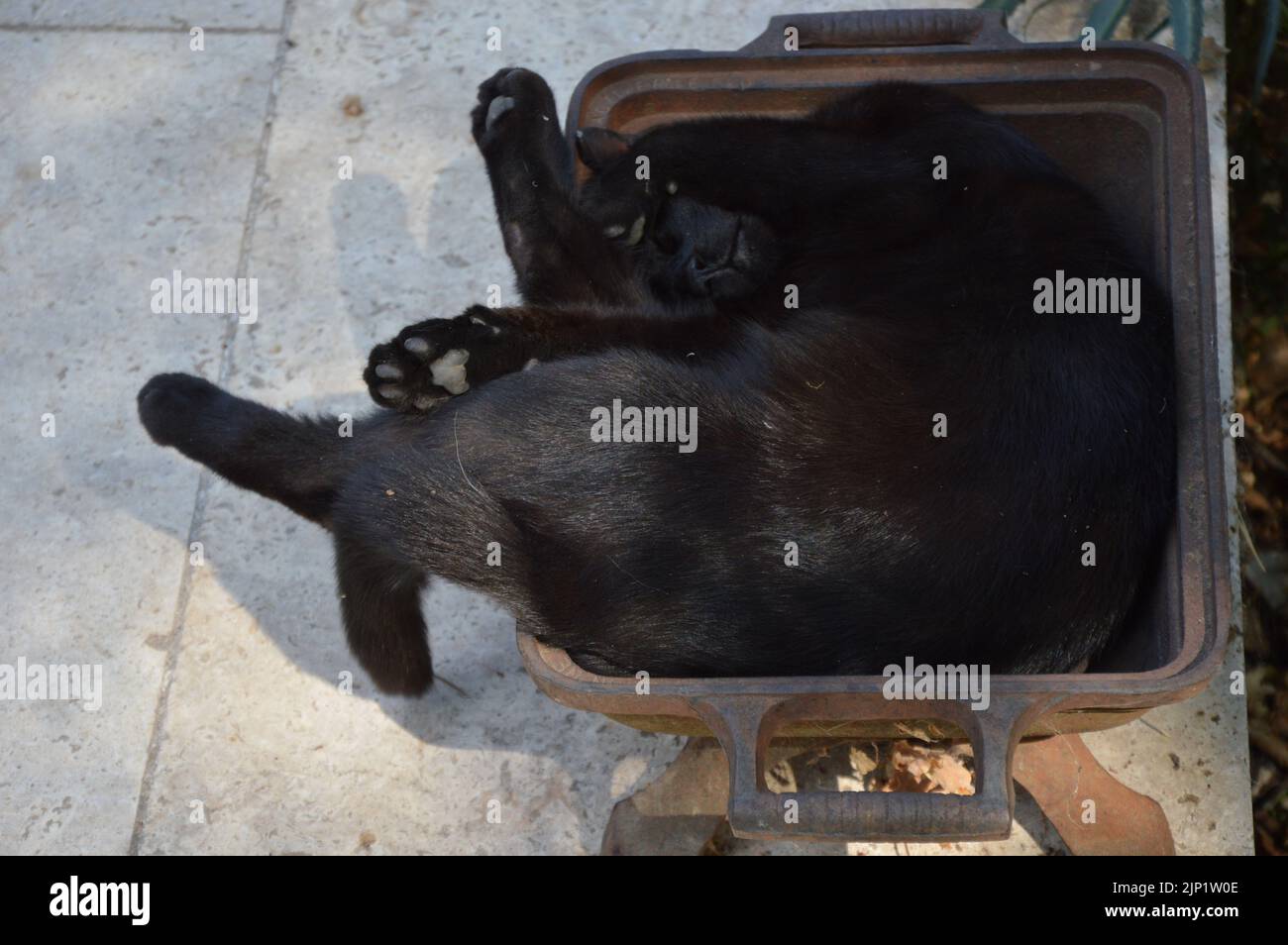 A cat take a rest outside in a  metal shell Stock Photo