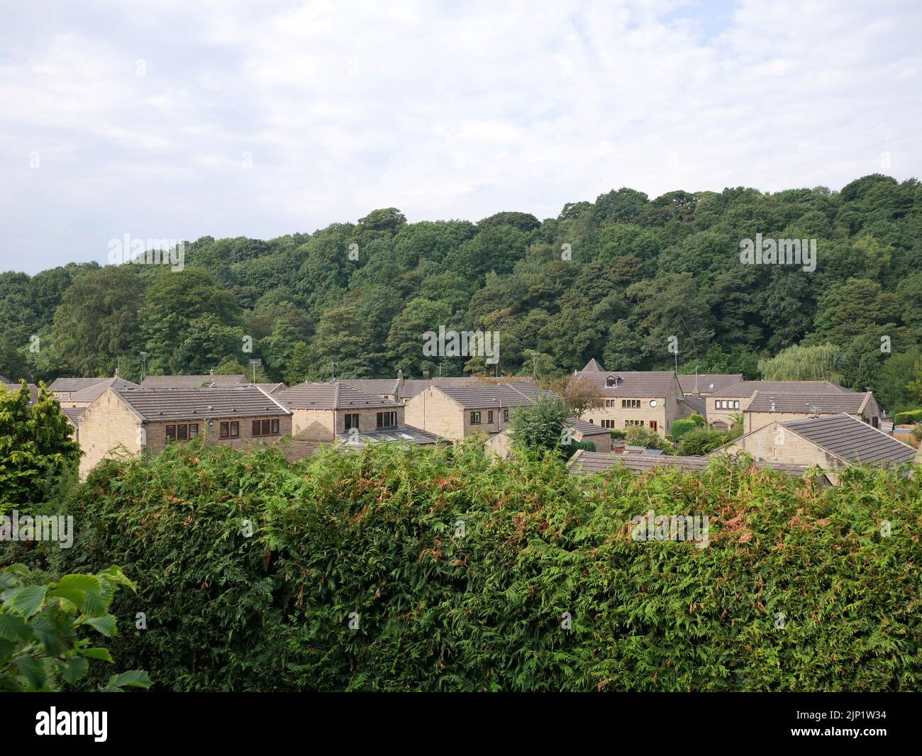 Stone built houses behind a tall hedge with woodland trees in the  background Stock Photo