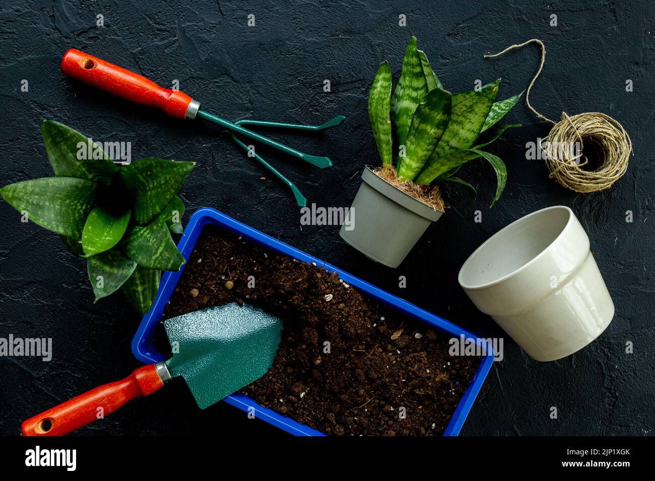 Set of garden accessories with plant in pot. Gardening layout for