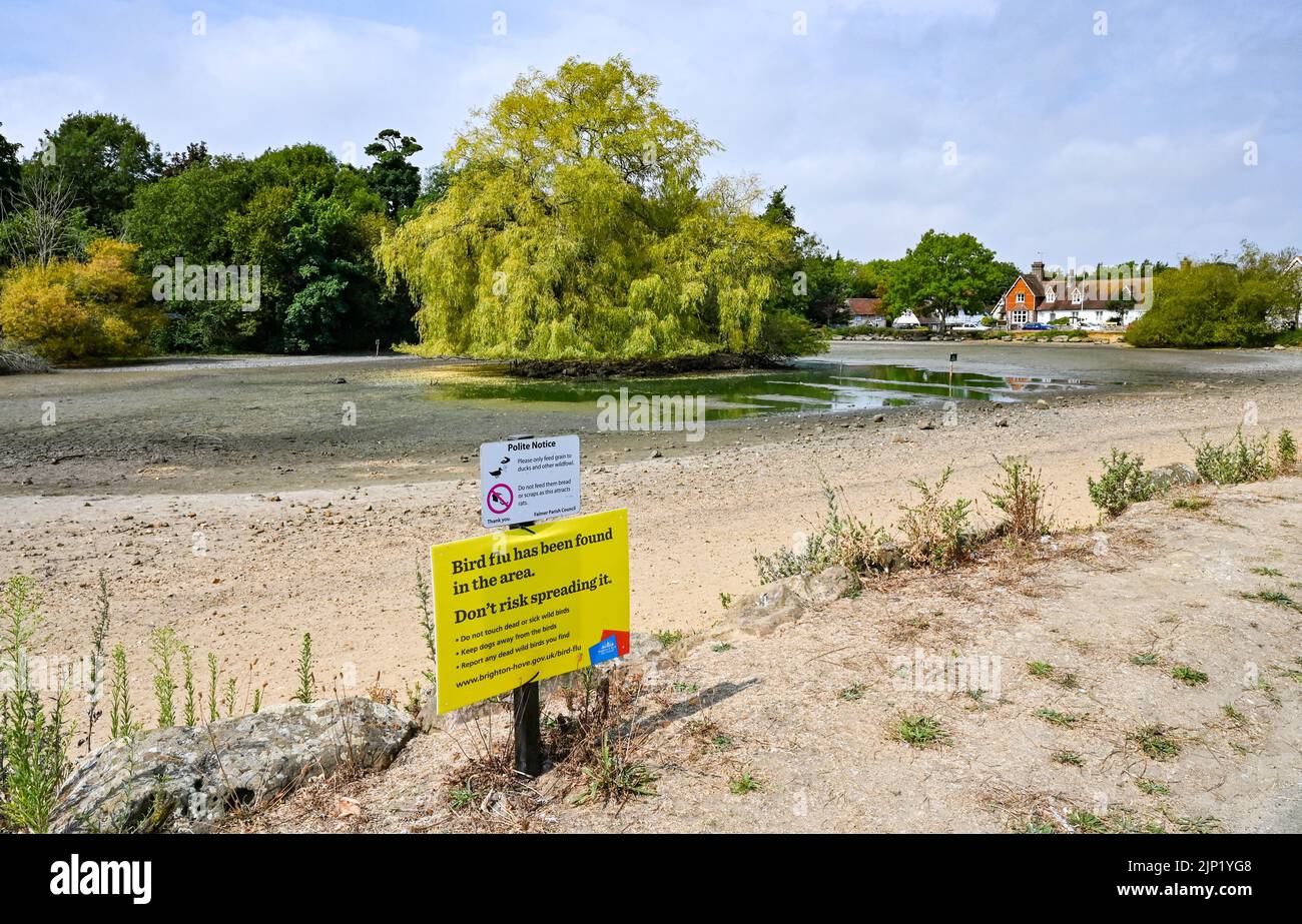 Brighton, UK. 15th Aug, 2022. The ancient Saxon pond at Falmer village on the outskirts of Brighton is completely dried out as the heatwave and drought conditions continue in the South East : Credit Simon Dack/Alamy Live News Stock Photo