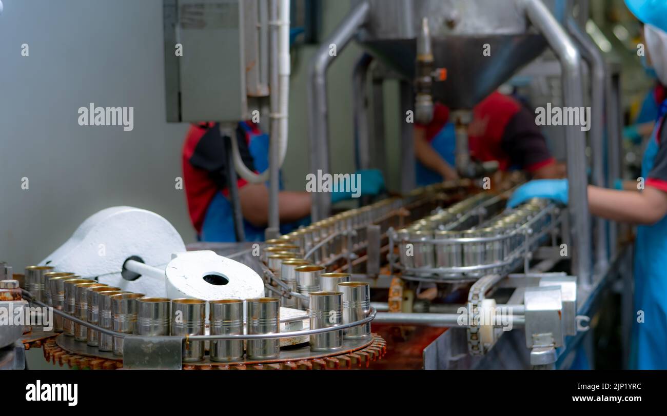 Canned fish factory. Food industry. Sardines in red tomato sauce in