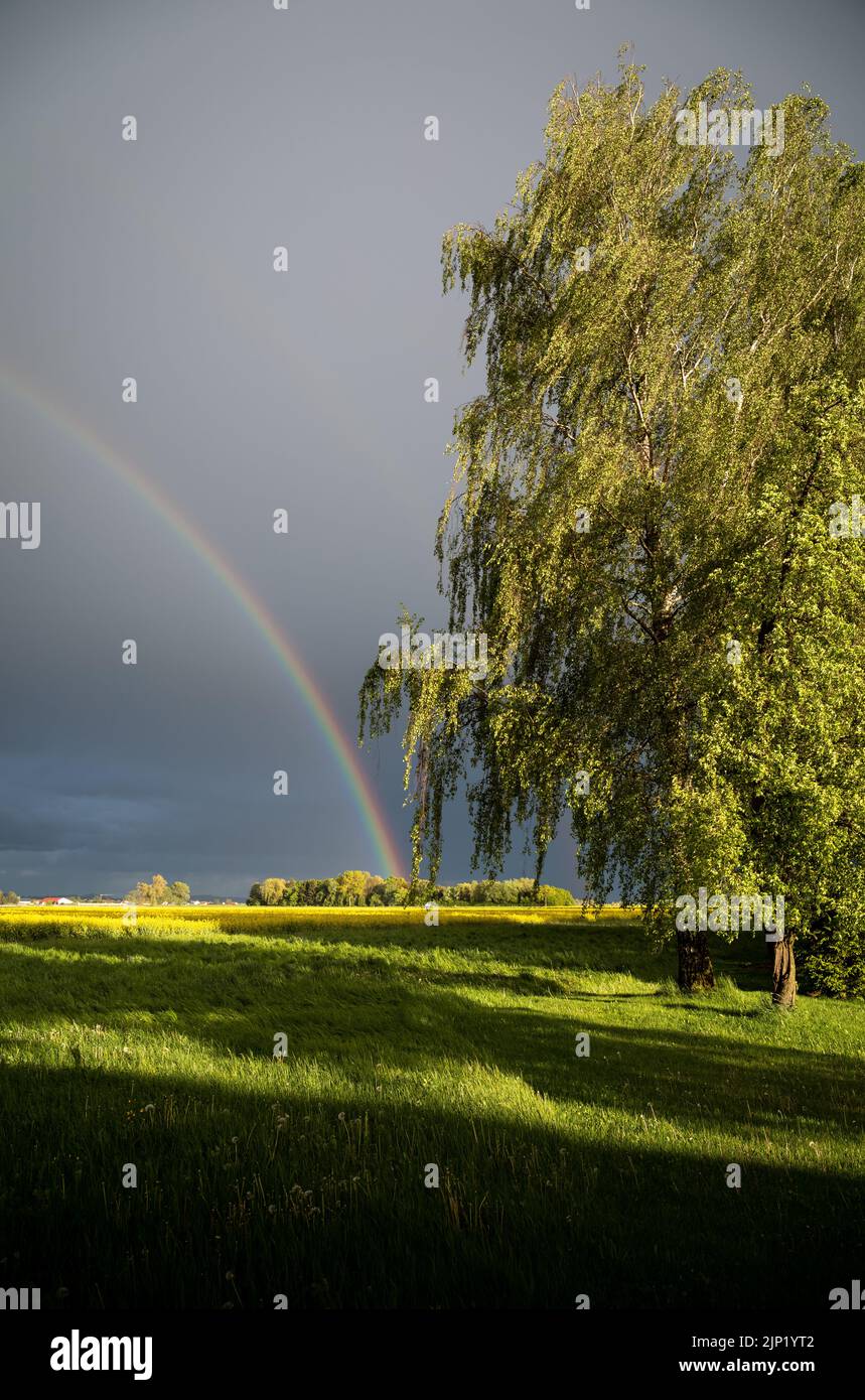 Bavarian Landscape Stock Photo