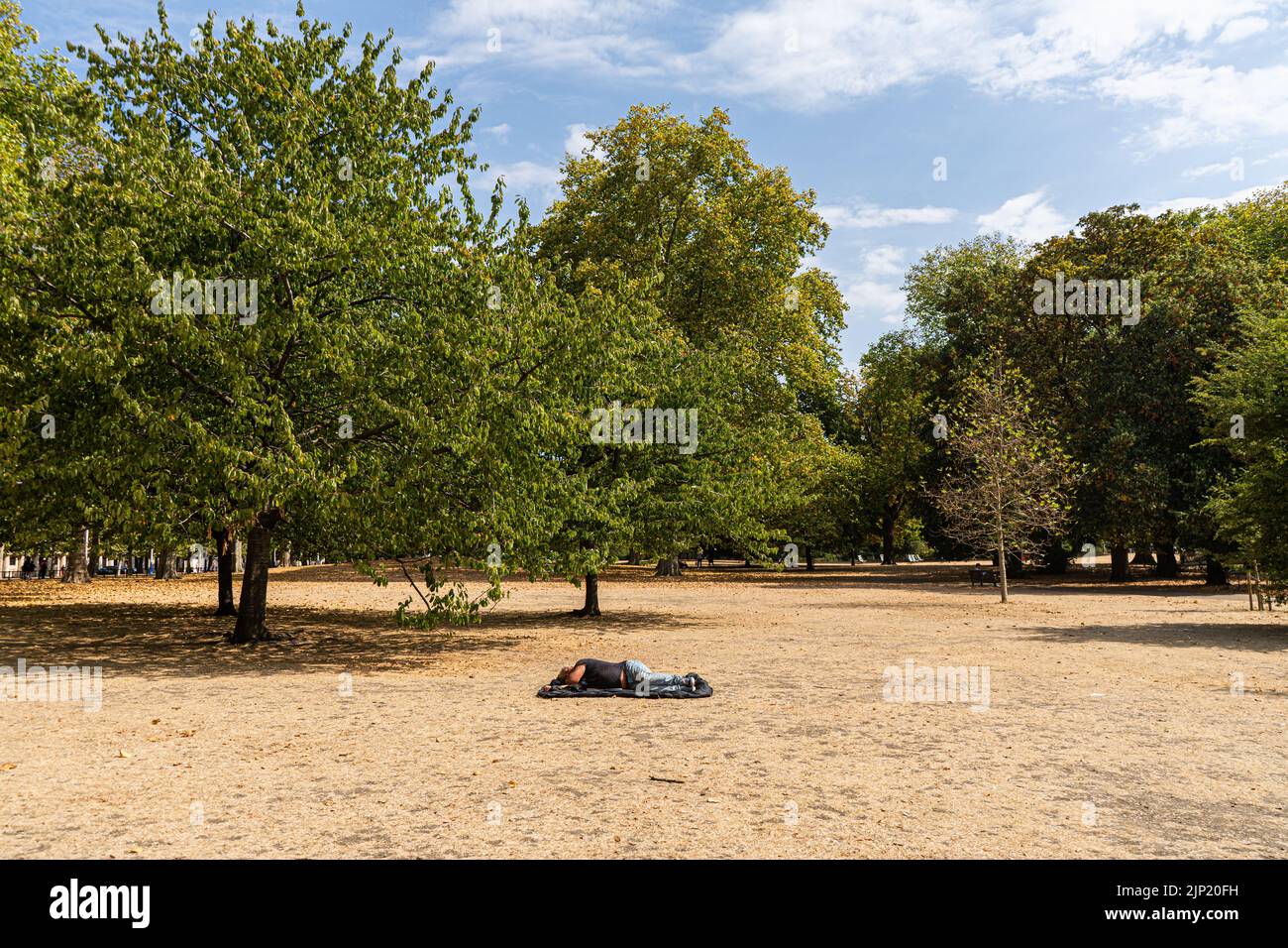 London, UK. 15 August 2022 . A man sleeps on the parched grass in Saint James park  after the driest summer for fifty years, a drought has been declared for some areas of England including Devon, Cornwall, Kent, London and the East Midlands. According to the Environment Agency, the total stock of water in England's reservoirs was 65 percent of its normal capacity at the end of July.Credit. amer ghazzal/Alamy Live News Stock Photo