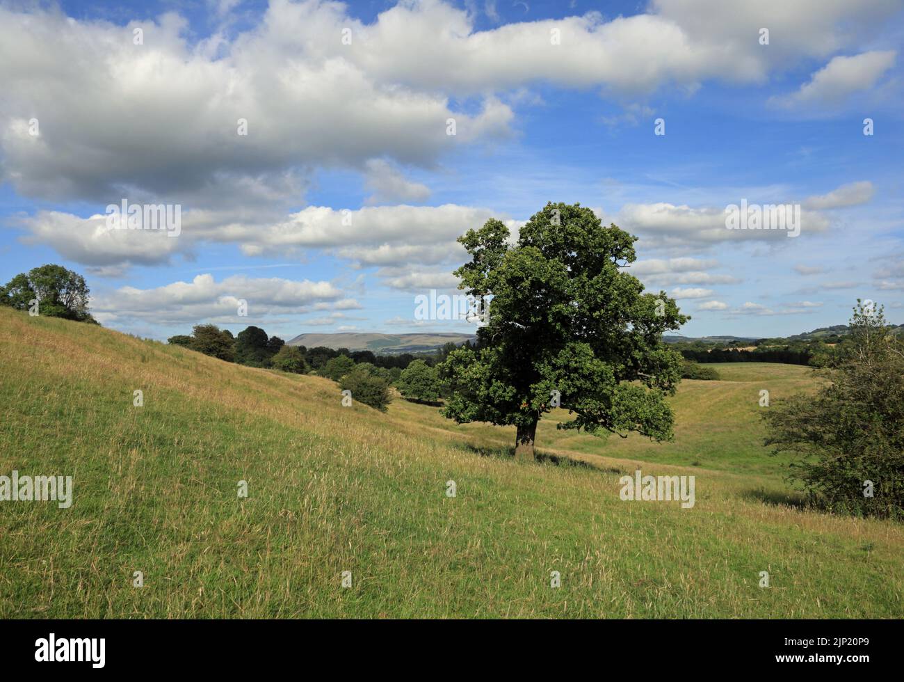 A view of the Ribble Valley on a summer evening with Pendle Hill in the background Hurst Green near Ribchester Lancashire England Stock Photo