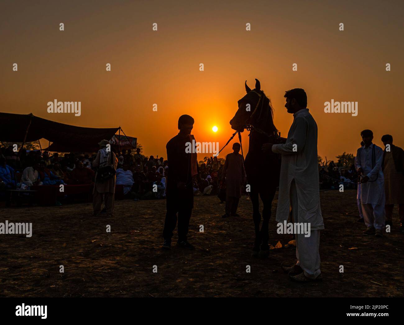 silhouette landscape with horse and riders in the sunset Stock Photo ...