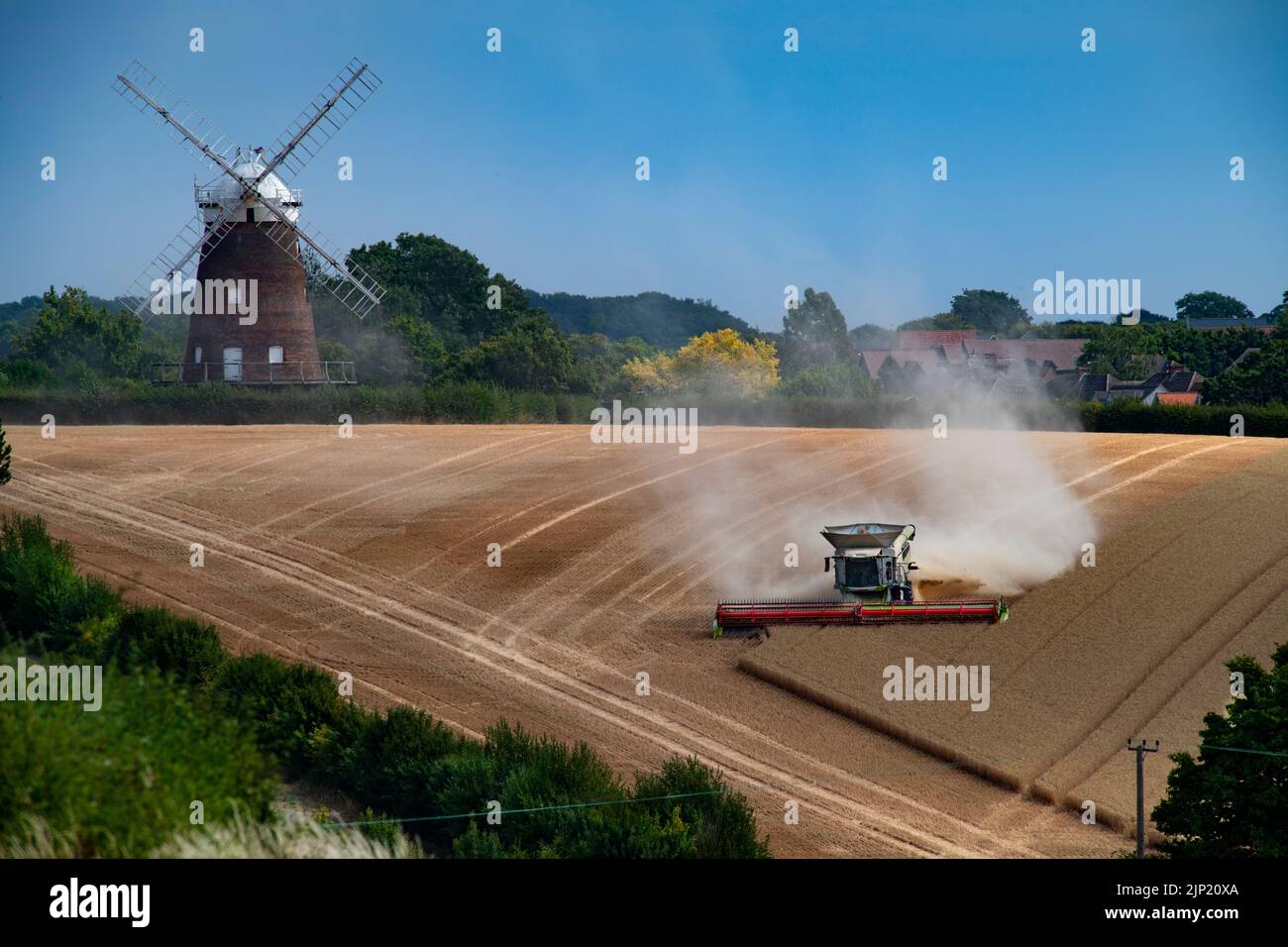 Thaxted, UK. 15th Aug, 2022. Thaxted Essex Late Harvest 15 August 2022 Seen here: The bucolic idyll of a late harvest scene in Thaxted North West Essex England. The 48 foot £600,000 Combine Harvester is seen hard at work in the shadow of the 19th century John Webb's Windmill. Farmer Simon Latham said the yield was 3.5 tons per acre, should have been 4 tons but there was not enough wet but the wheat had a 12% moisture content so Simon said it was a good harvest. Photograph Credit: BRIAN HARRIS/Alamy Live News Stock Photo