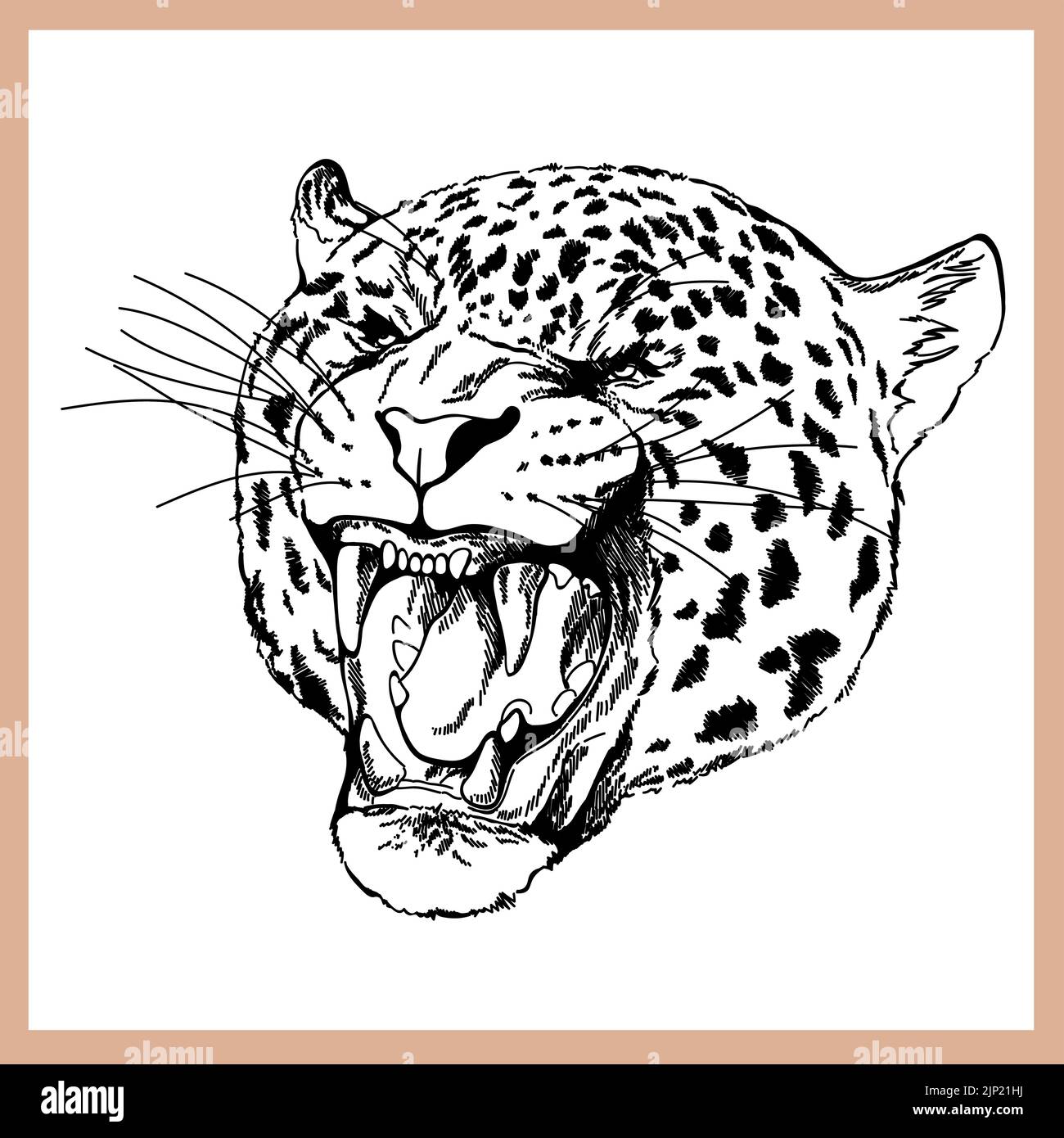 Watching black panther Stock Vector Images - Alamy