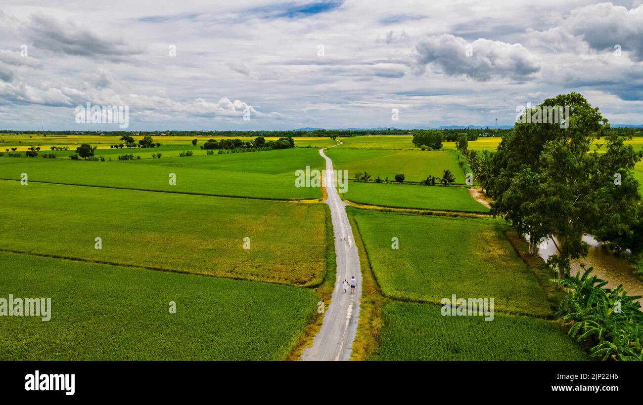 Drone aerial view of green paddy rice field in Thailand, men and woman