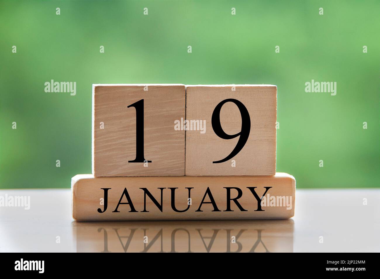 January 19 calendar date text on wooden blocks with blurred background