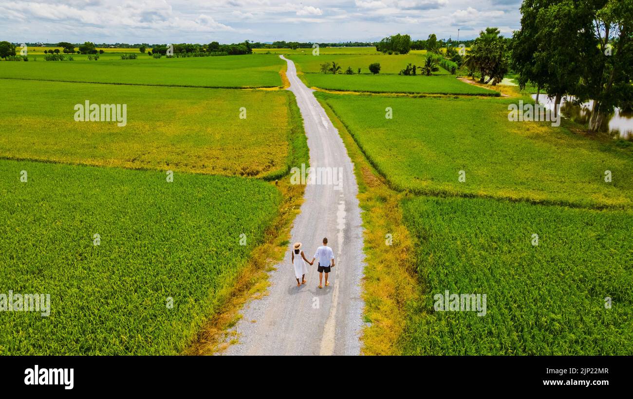 Drone aerial view of green paddy rice field in Thailand, men and woman