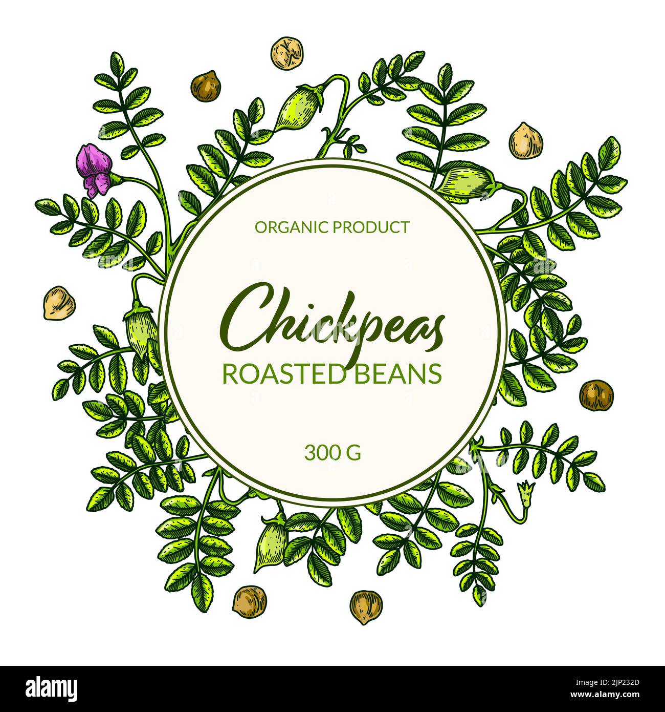 Colorful chickpeas frame. Hand drawn illustration in colored sketch ...