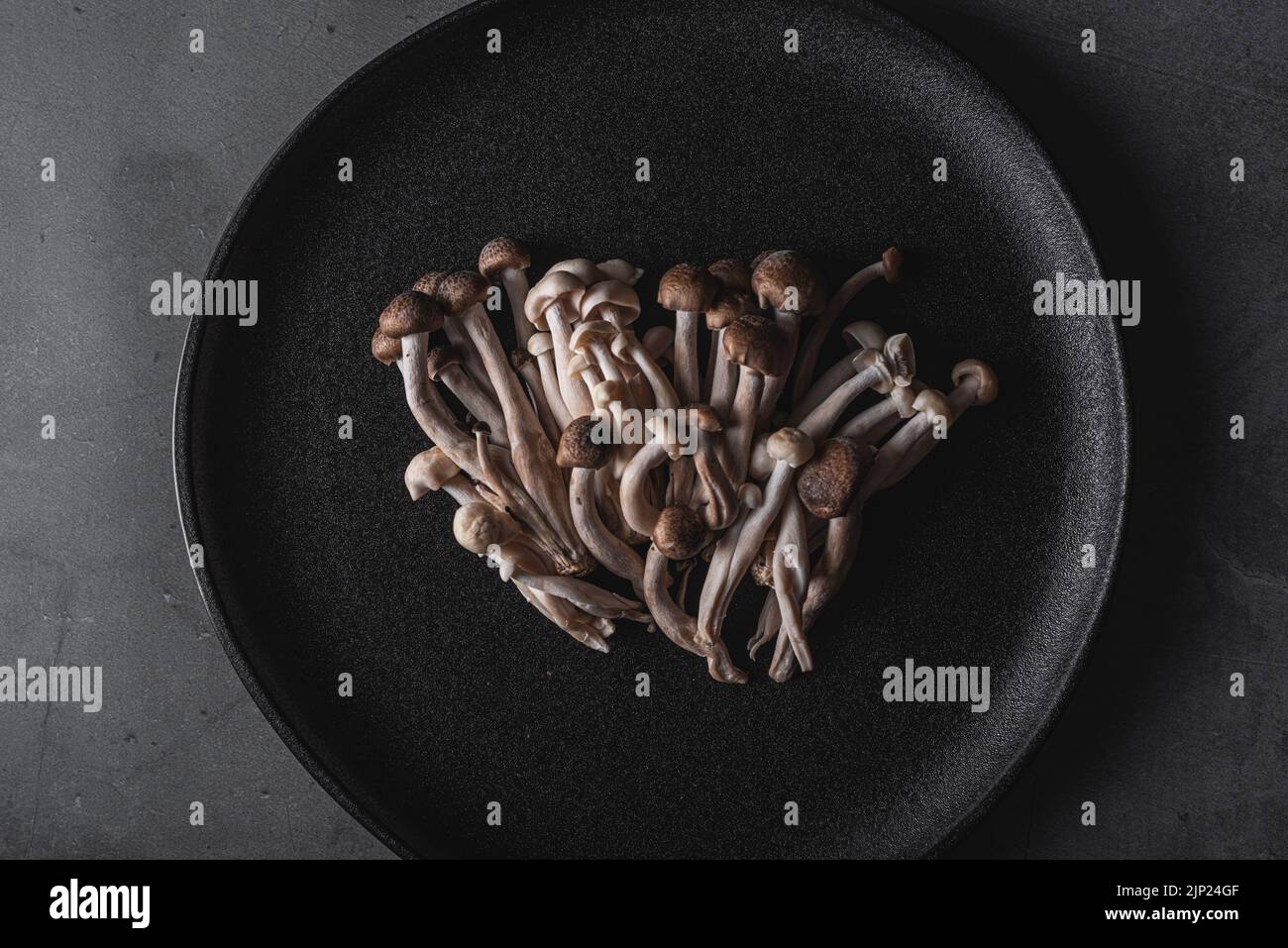 shmeji, shimejipilz, shmejis Stock Photo Alamy