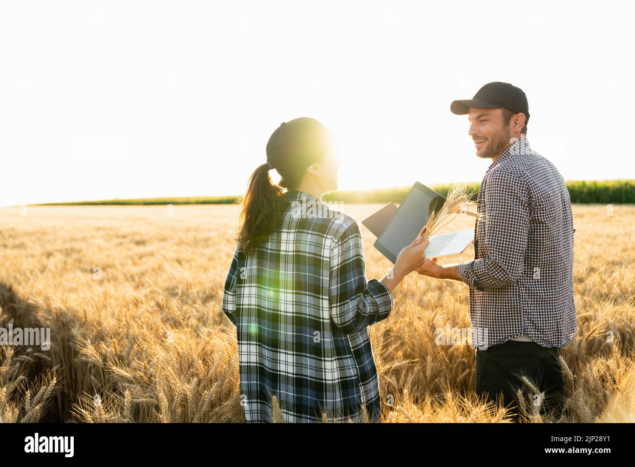 Couple of farmers examines the field of cereals and sends data to the cloud from the digital tablet and laptop. Smart farming Stock Photo