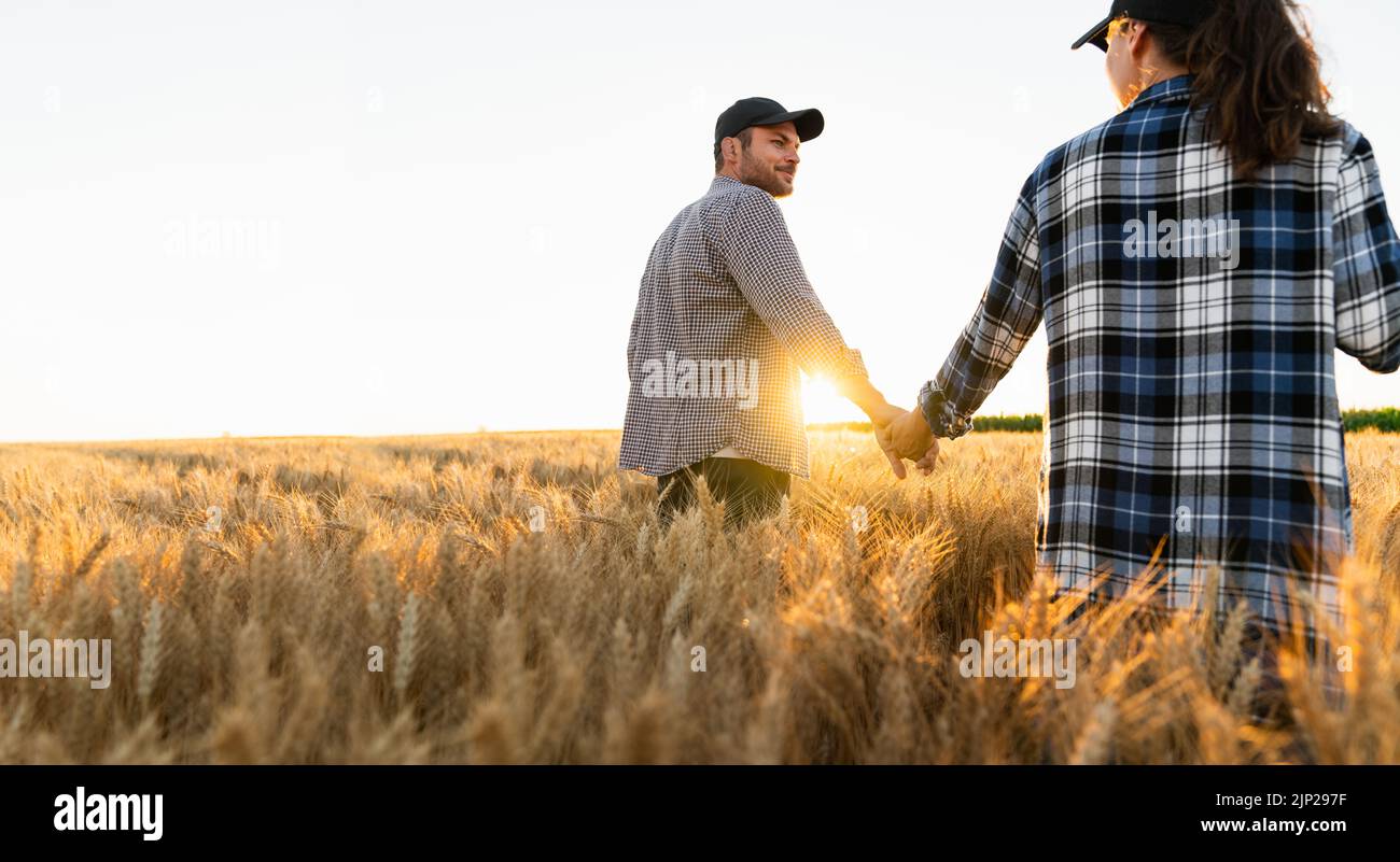 A couple of farmers in plaid shirts and caps holding hands on agricultural field of wheat at sunset Stock Photo