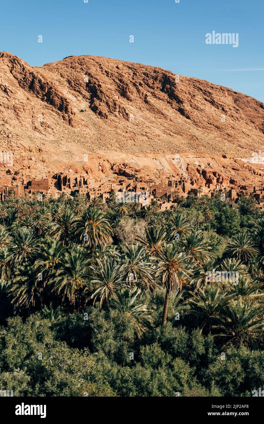 village, desert, palm, morocco, villages, deserts, wüste, palm trees