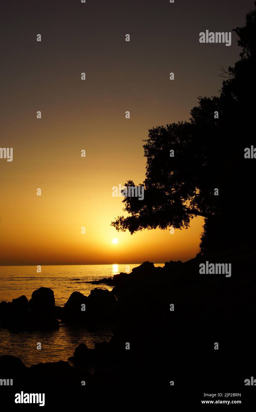 A silhouette of trees and rocks on the beach on the sunset Stock Photo ...