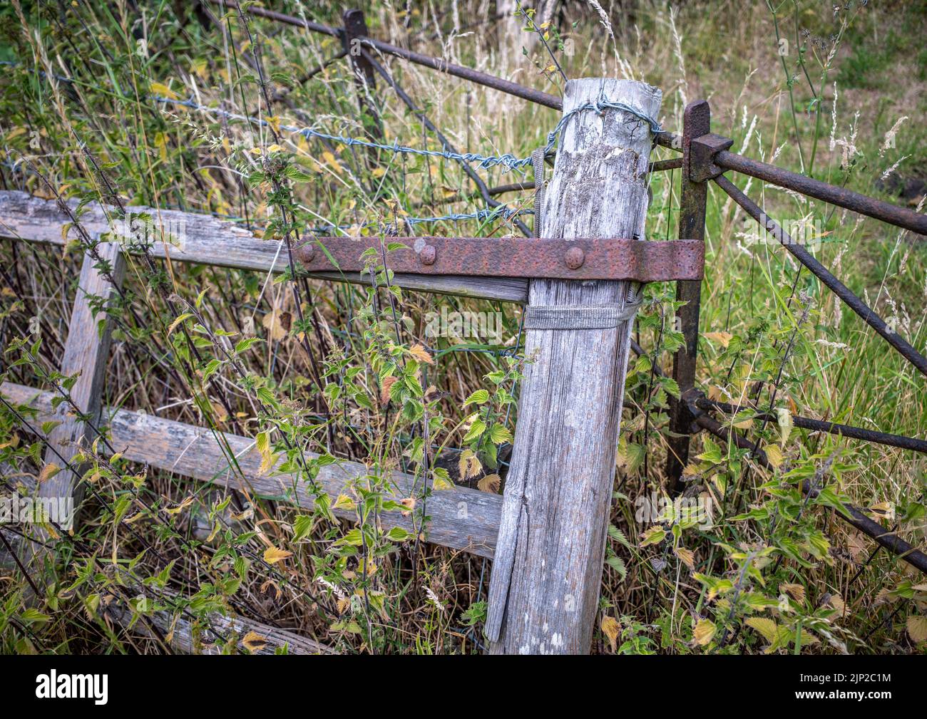 Old broken wooden gate with metal hinge and barbed wire resting on metal fence. Stock Photo