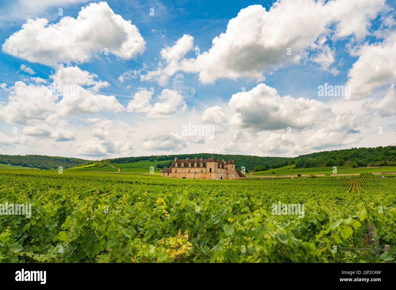 Clos Vougeot in Burgundy, France Stock Photo
