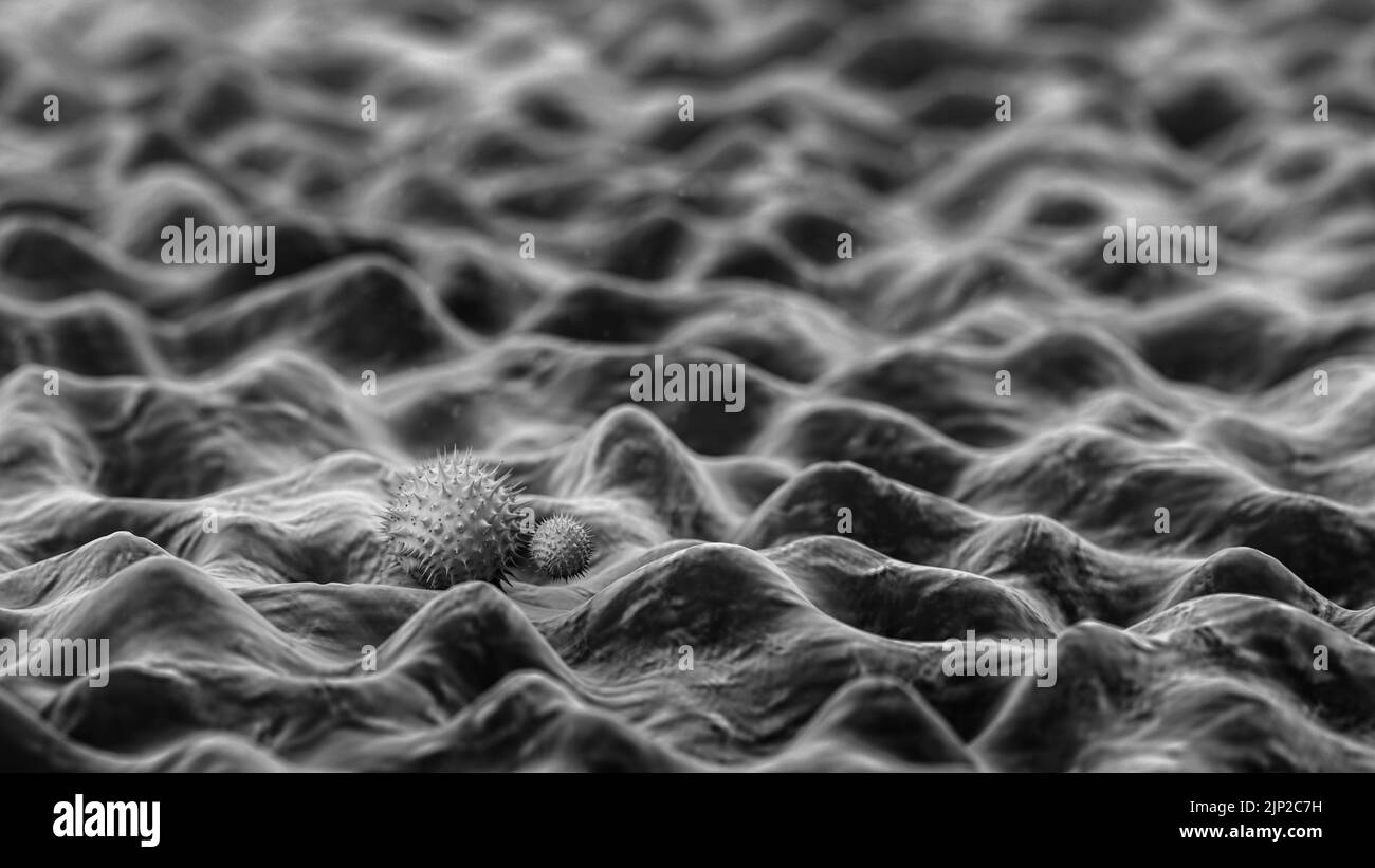 virus, magnification, microbiology, magnified