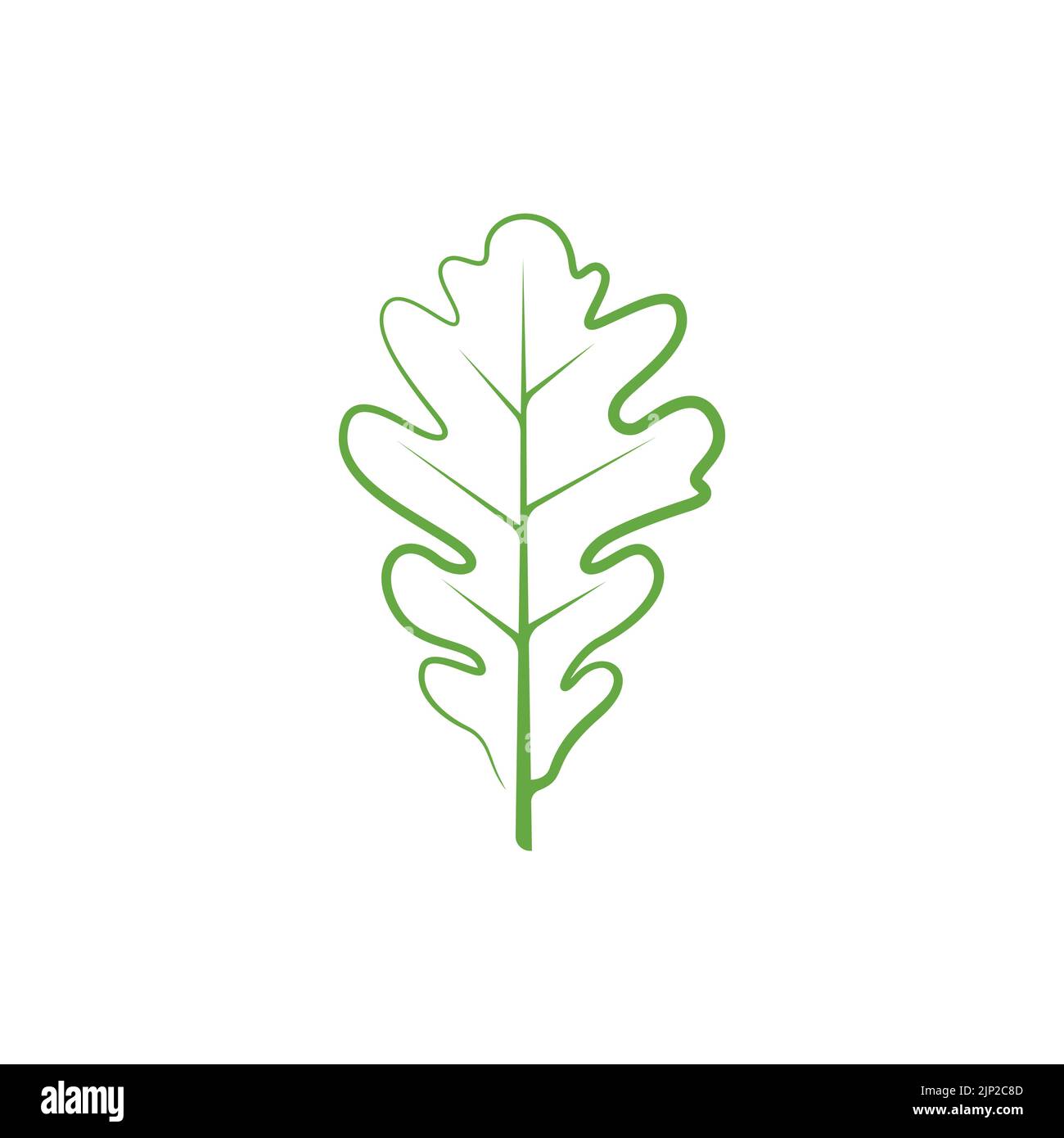 Oak leaf linear logo design template. Oak leaf pictogram. Vector illustration Stock Vector