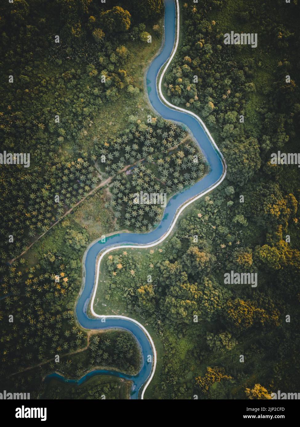An aerial view of a road surrounded by green trees Stock Photo - Alamy