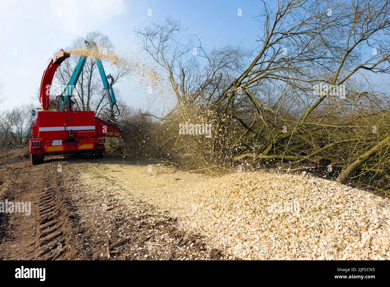 tree trunk, wood shavings, chaff cutter, trunks, chaff cutters Stock