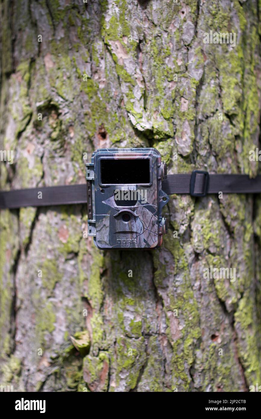 monitor, light barrier, motion detector, monitors, light barriers