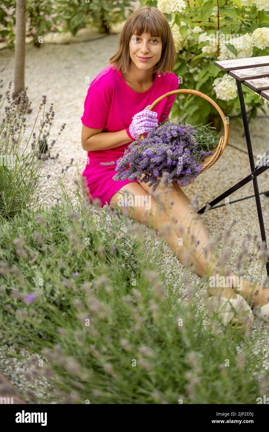 Portrait of a young cheerful woman with freshly picked lavender flowers at garden. Young housewife takes care of flowers outdoors Stock Photo