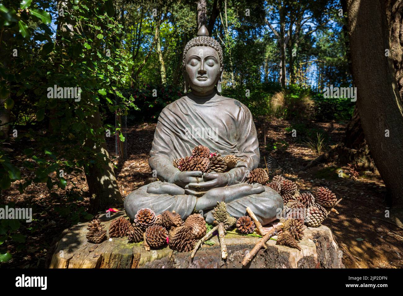 A statue of Buddha at Abbotsbury Subtropical Gardens, Dorset, England Stock Photo