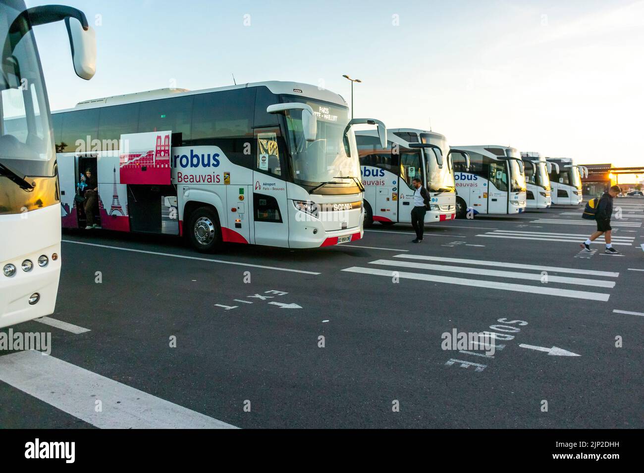 Warsaw, Poland, Group Tourists, Getting Off, TOurist Bus from Modlin Airport, Low Cost Travel Stock Photo