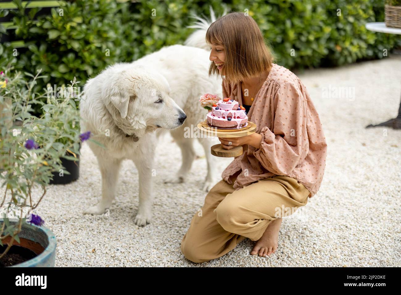 Cheerful woman playing with her adorable white dog, while sitting with festive cake in garden. Holiday celebration with pets concept Stock Photo