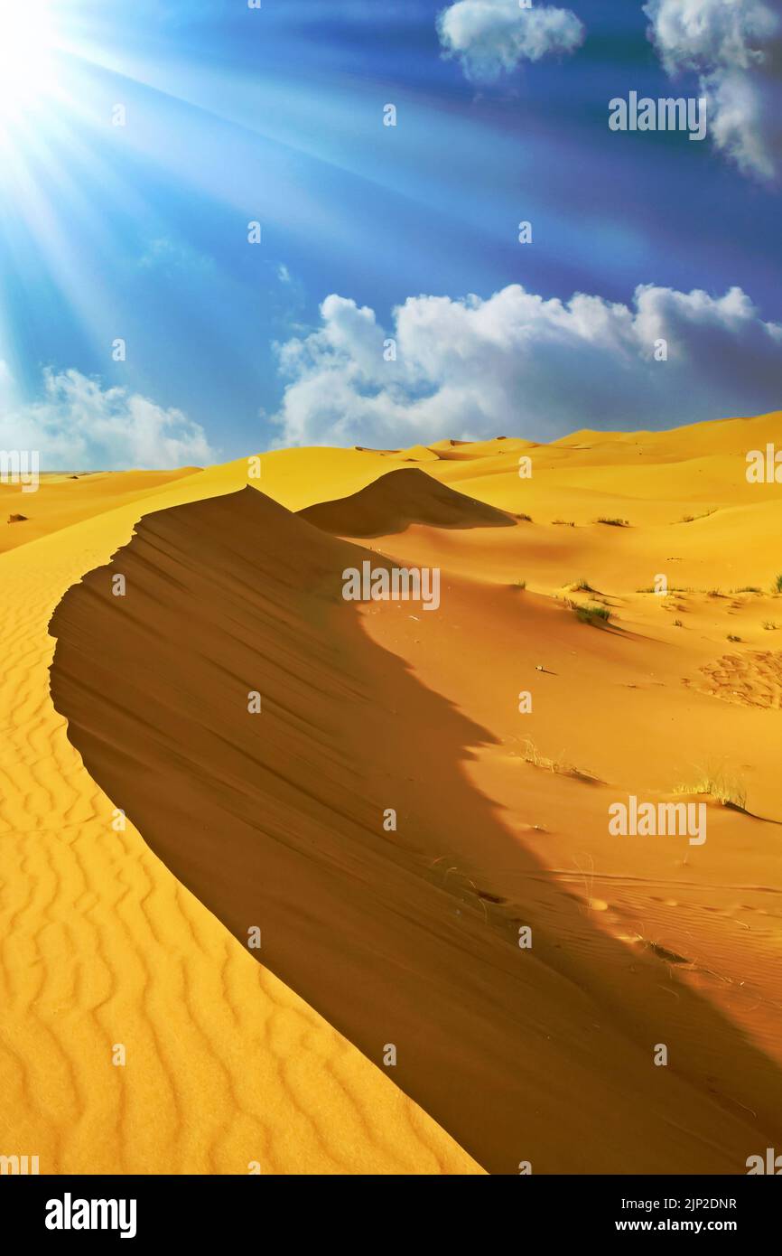 Beautiful Loneyl Sahara Desert Yellow Sand Dune Landscape Sun Rays