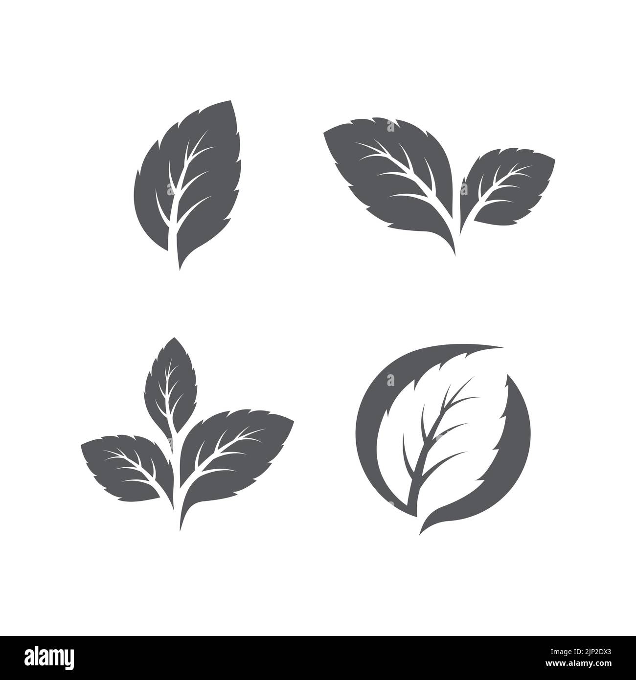 Set of Green mint leaves ecology nature element vector icon, Leaf Icon