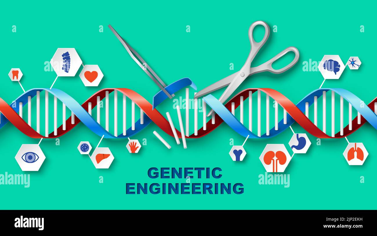 engineering vector medical poster with DNA Stock Vector Image