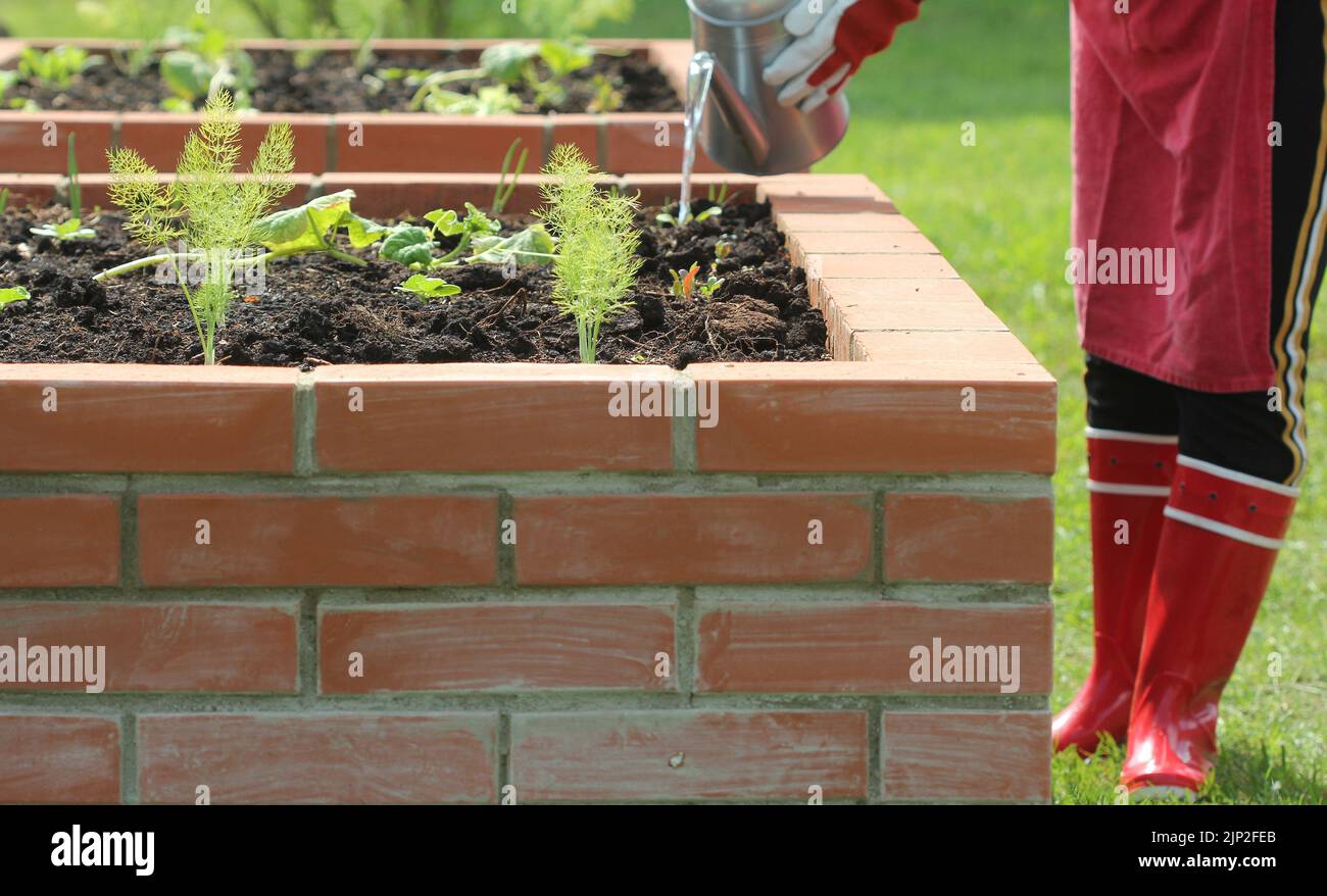 watering can, fertilizer, raised bed, watering cans, fertilizers