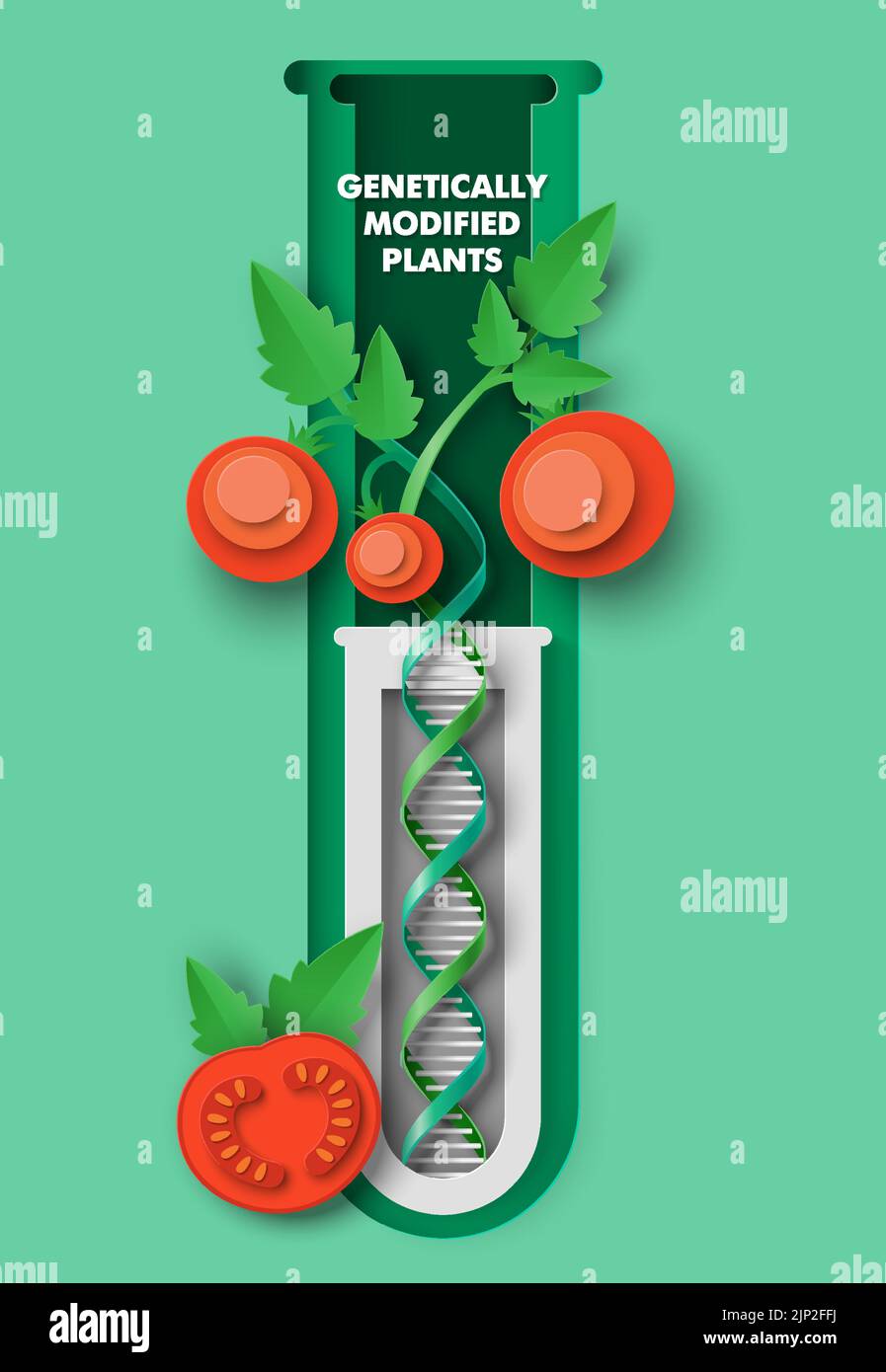 modified tomato plant 3d vector poster Stock Vector Image
