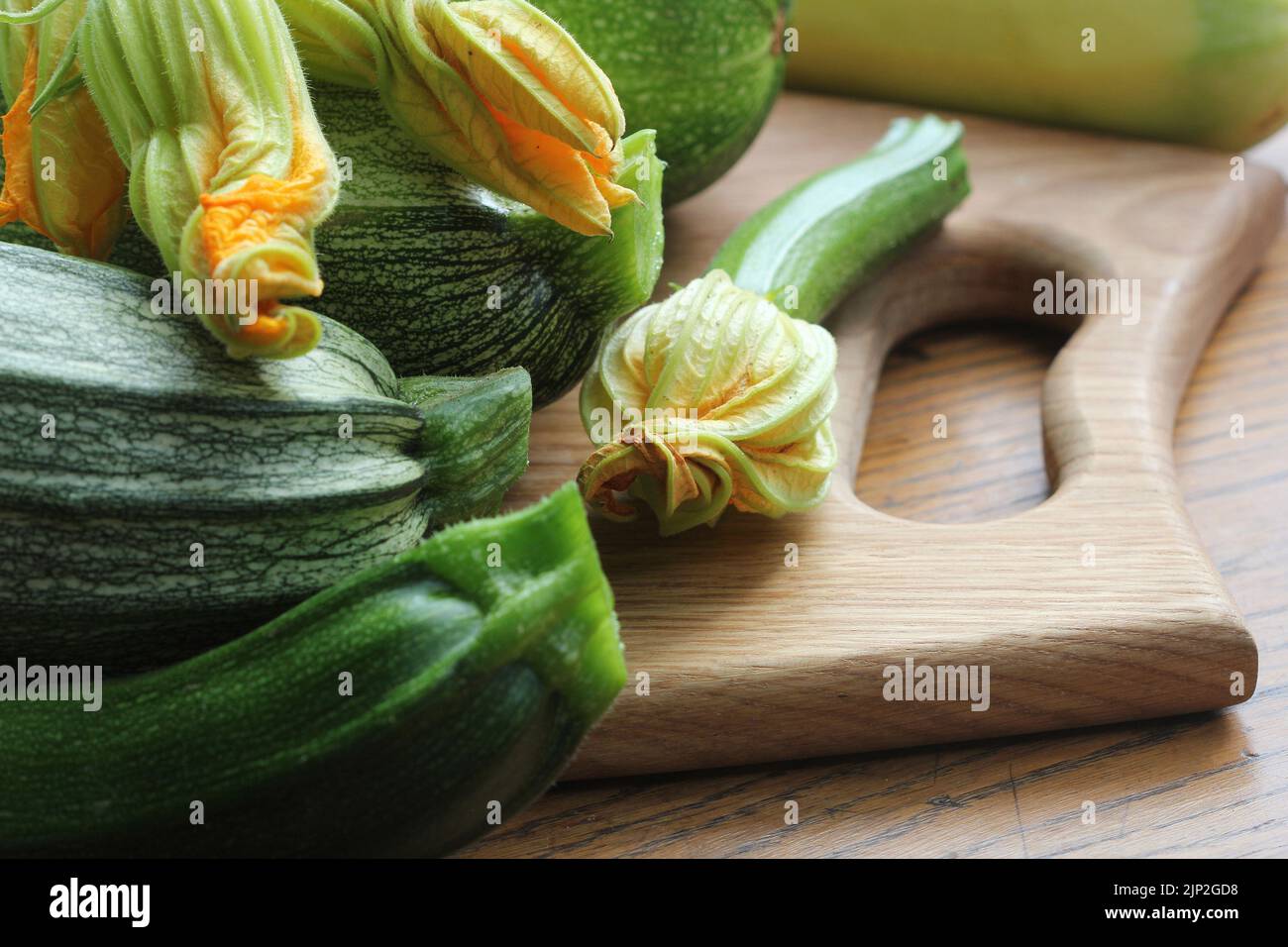 zucchini flower, zucchini, zucchini flowers, zucchinis Stock Photo Alamy