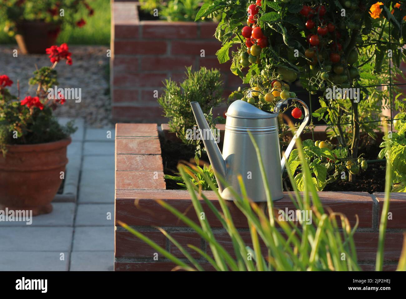 garden, watering can, vegetable garden, gardens, watering cans