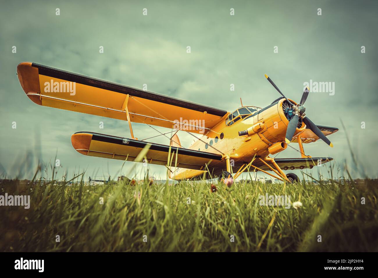 airplane, propeller airplane, engine plane, airplanes, plane, planes