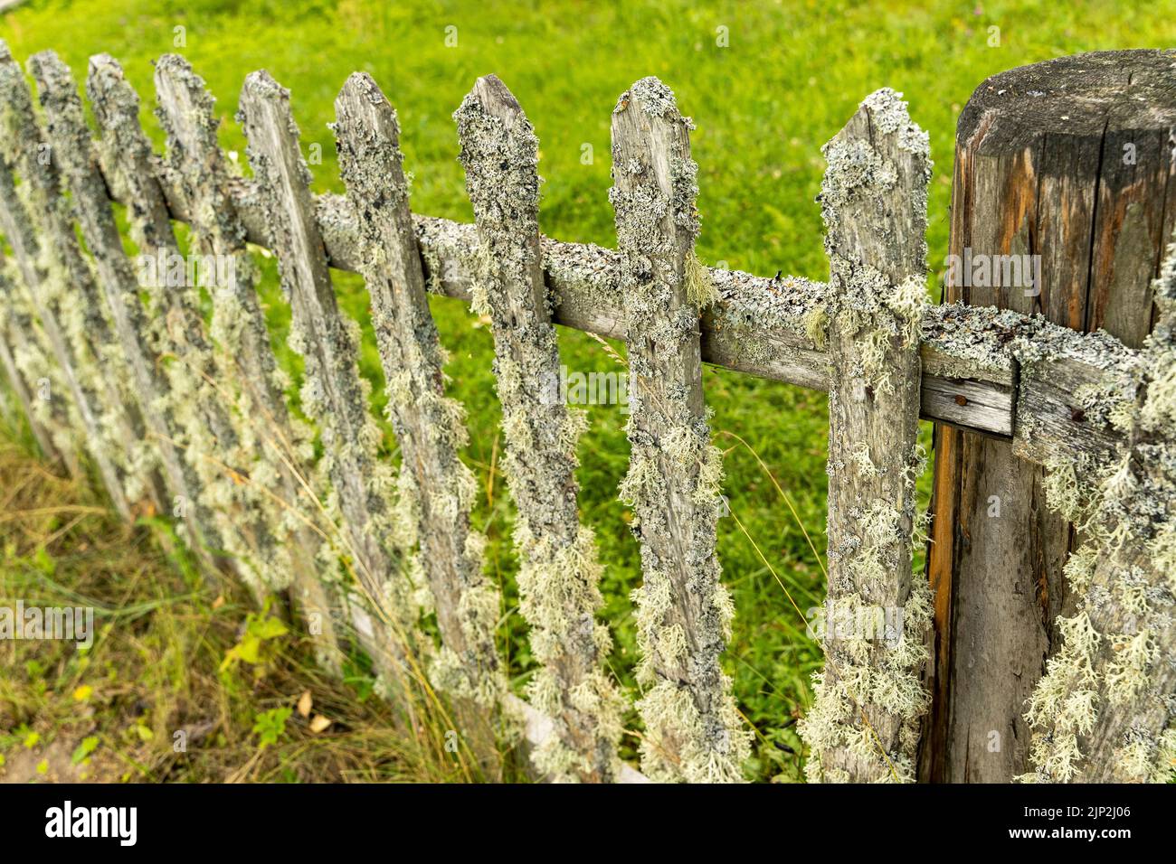 old wooden rural fence made of picket fence overgrown with moss Stock ...