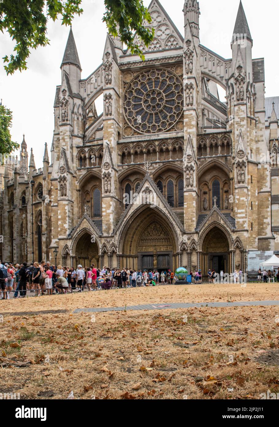 Westminster, London, UK. 15th Aug, 2022. Tourists queuing to visit Westminster Abbey are welcome by brown, scorched grass due to the current heatwave. Picture Credit: ernesto rogata/Alamy Live News Stock Photo