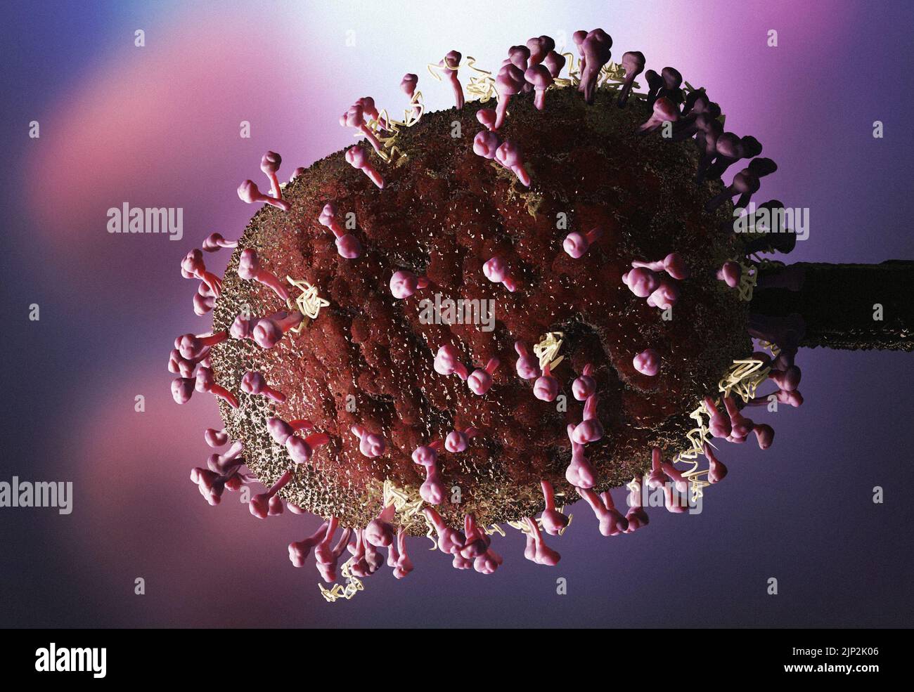 New Langya henipavirus from China in microscopic details showing the pathogen structure and infected cells, artistic reconstruction. Stock Photo