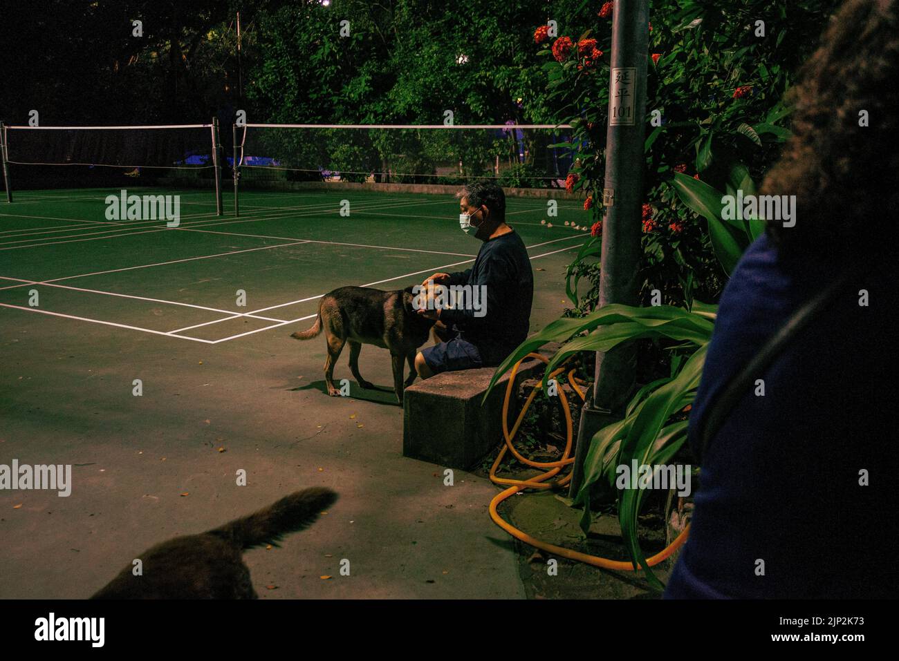 A view of a male sitting with a dog on the tennis court at night in