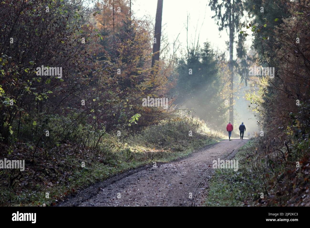 path, walkers, paths, walker Stock Photo Alamy