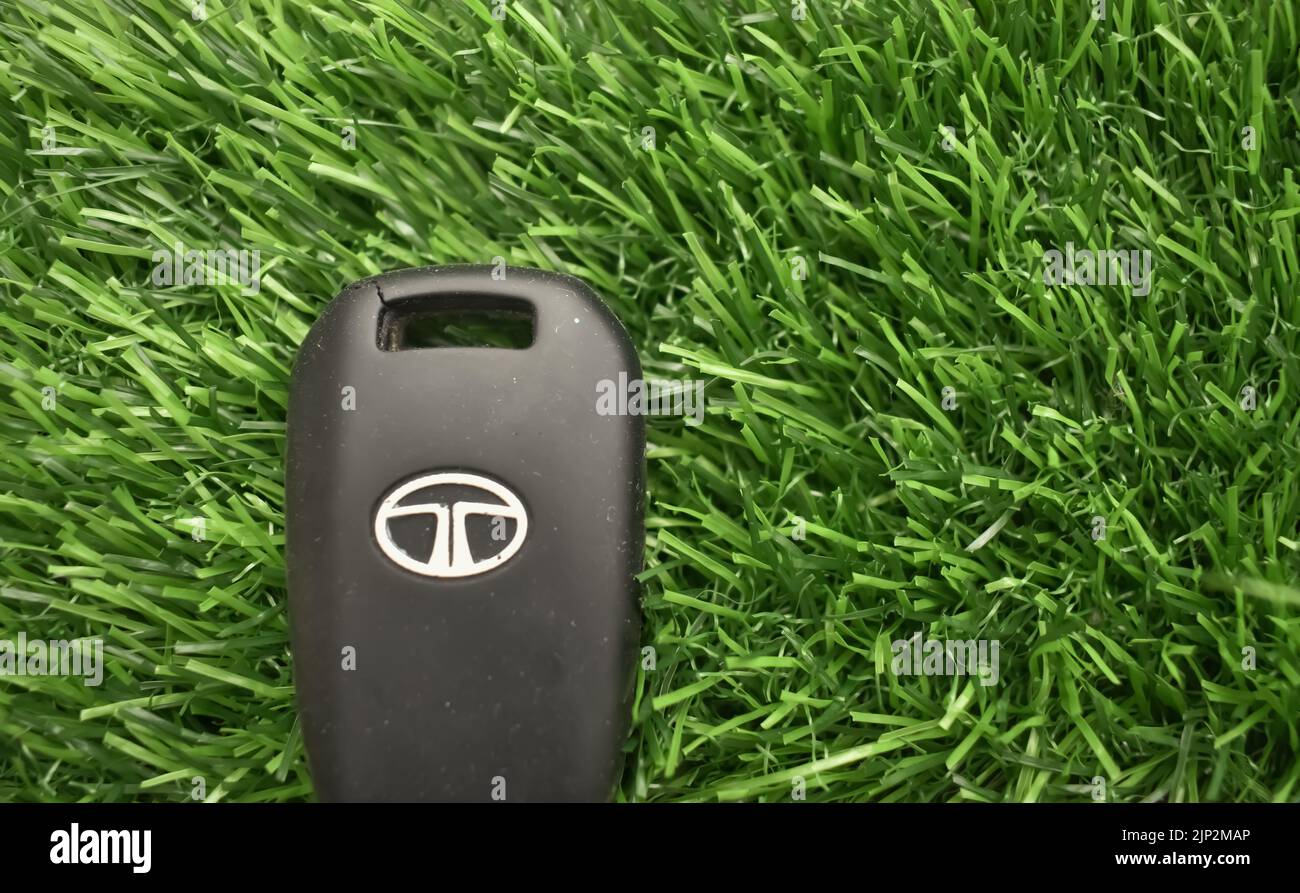 A closeup picture of Tata Motors logo against a green Background. They are forefront in EV Vehicles in India. Price of Tata Motors shares are rising. Stock Photo