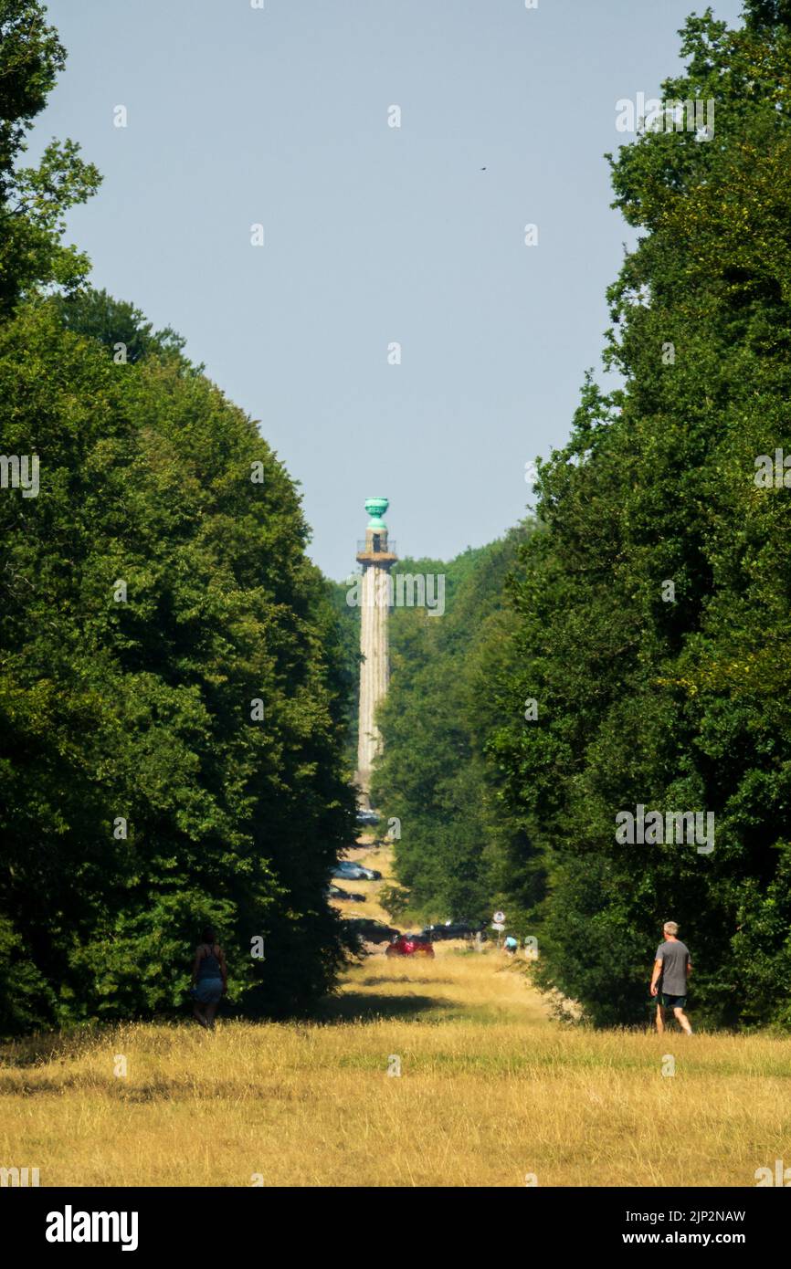 The Bridgewater Monument, monumental column, in the Ashridge estate