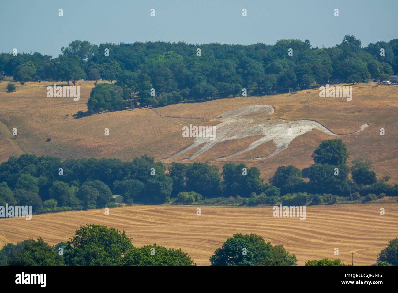 Dunstable Downs Whipsnade Lion Stock Photo