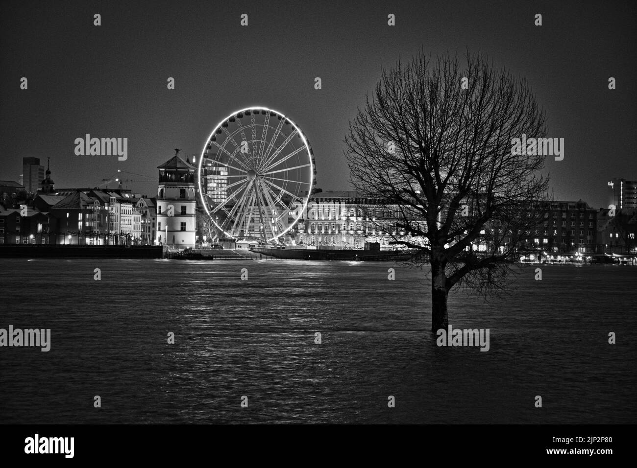 A grayscale of a tree in the flooded Rhine river near Duesseldorf, Germany Stock Photo
