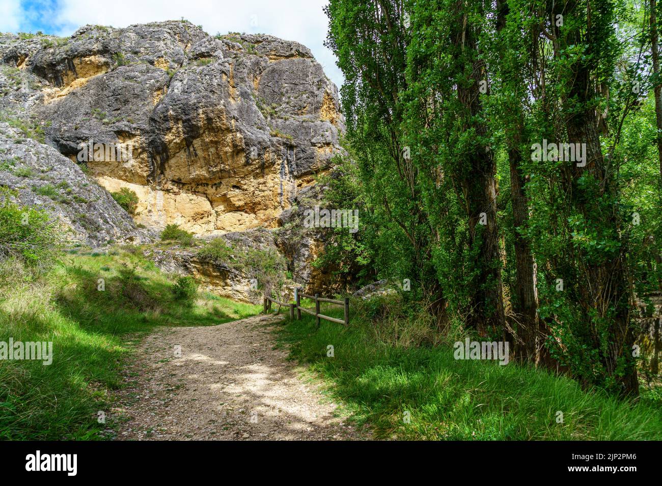 Green spring landscape with tall trees and rock walls with a dirt path ...